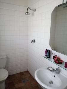 een badkamer met een wastafel, een toilet en een spiegel bij Casa di campagna appartamento in Gattaia