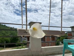 a white bird is sitting on a swing at Vila Bella Jaz in Jaz