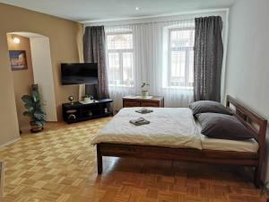 a bedroom with a bed and a flat screen tv at Apartmán Antonínská in Znojmo