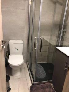 La salle de bains est pourvue de toilettes et d'une douche en verre. dans l'établissement To Spiti tou Faliari, à Platanistasa