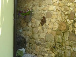 Fotografie z fotogalerie ubytování Maso Gaitem v destinaci Drena