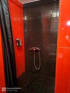 a red bathroom with a shower with black tiles at Apartman Bella Vista in Golubac