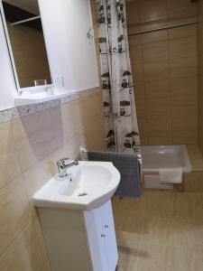 a bathroom with a sink and a shower curtain at Motorest SKI Čertovica in Vyšná Boca