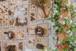 a wall filled with pictures of animals and nests at Baisha Flamingo Hotel in Lijiang