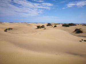 Paesaggio naturale nelle vicinanze dell'appartamento