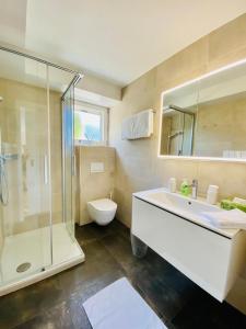 La salle de bains est pourvue d'une douche, d'un lavabo et de toilettes. dans l'établissement Panorama Boutique Apartment with Air Condition, SPA entry in Solbadhotel, à Sigriswil