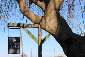 un árbol con un cartel delante de él en The Ship Inn en Dymchurch