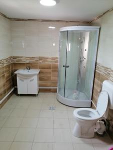 uma casa de banho com um chuveiro, um WC e um lavatório. em CASA ILEA-Agapia" em Agapia