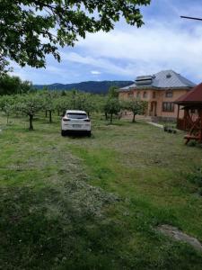 un coche aparcado en un campo al lado de un edificio en CASA ILEA-Agapia" en Agapia