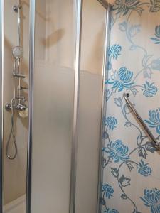 La salle de bains est pourvue d'une douche avec une porte en verre. dans l'établissement Casa da Nanda, à Crespos