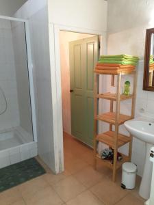 a bathroom with a shower and a sink at Aux Ecuries du Signe in Amboise +29 photos