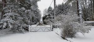 Ardvonie House v zimě
