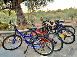 a group of bikes parked next to a tree at Roxanne's Olive Grove House in Kranidi