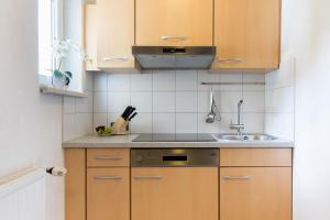 A kitchen or kitchenette at Appartementhaus Bergland