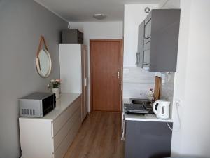 Kuchyňa alebo kuchynka v ubytovaní Apartament U Muzyków