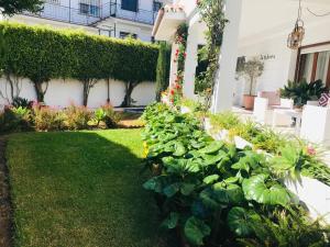 Espectacular Apartamento Reformado NEW LUXURY POOL ...
