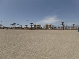 piaszczysta plaża z palmami i budynkami w tle w obiekcie MAR & SAL Roquetas de Mar playa de las Salinas w mieście Roquetas de Mar