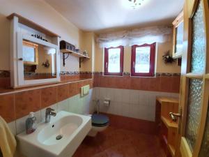 bagno con lavandino, servizi igienici e finestre di Ferienhaus Jahrhundertreisen a Bad Schandau
