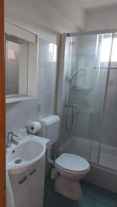 a bathroom with a toilet and a shower and a sink at Apartment Ruby in Šibenik