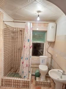 een badkamer met een douche, een toilet en een wastafel bij Happy Hostel in Tamga in Tamga