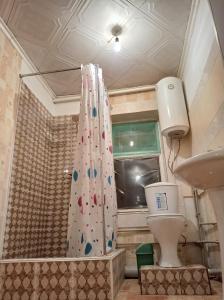 a bathroom with a shower curtain and a toilet at Happy Hostel in Tamga in Tamga
