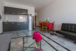 Kuchyňa alebo kuchynka v ubytovaní Apartmani Sil