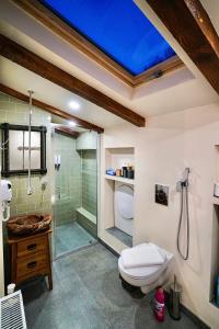 a bathroom with a toilet and a glass shower at Vila Montana Valiug in Văliug