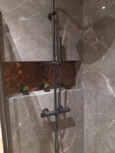 Ένα μπάνιο στο Apartament przy jeziorze Czorsztynskim