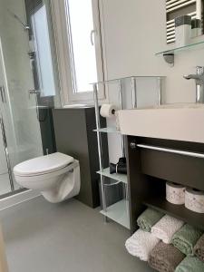 ein Bad mit einem WC und einem Waschbecken in der Unterkunft Hiša Uran in Kobarid
