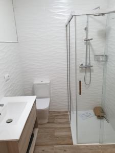 een badkamer met een douche, een toilet en een wastafel bij casa CARREGAL in Tomiño