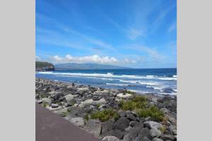 Naturlandskabet i nærheden af lejligheden