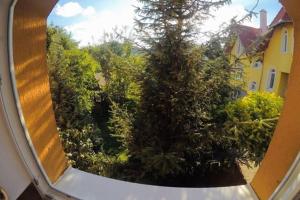 Zahrada ubytování Rákóczi apartman