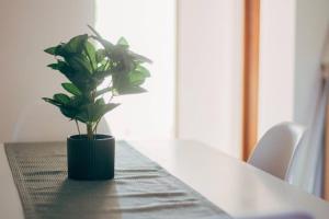 Fotografie z fotogalerie ubytování Rákóczi apartman v destinaci Odorheiu Secuiesc