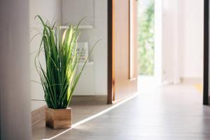 Fotografie z fotogalerie ubytování Rákóczi apartman v destinaci Odorheiu Secuiesc