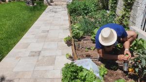 A garden outside Villa Fouli