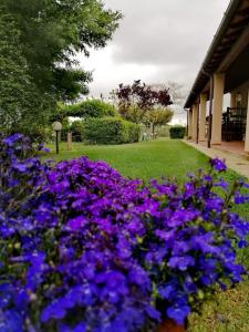 a bunch of purple flowers in front of a building at Podere Montecorno in Alberese