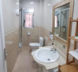 a bathroom with a sink and a toilet and a mirror at JL Ciudad de las Artes in Valencia