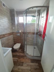 a bathroom with a shower and a toilet at Willa Zacisze apartament 12 in Kąty Rybackie