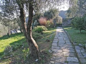 Ogród w obiekcie Tenuta di Venere