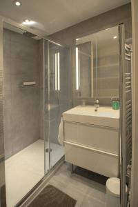 a bathroom with a shower and a sink and a toilet at La Terrasse in Dijon +26 photos