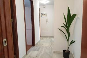Fotografia z galérie ubytovania Central Apartment in Sanlucar v destinácii Sanlúcar de Barrameda