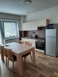 Kuchyň nebo kuchyňský kout v ubytování Apartmány Moravia + 30 fotografií