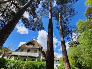 une maison avec un toit de chaume et des arbres dans l'établissement Zingst Achtern Diek 12d Elly, à Zingst