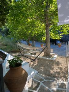 a hammock tied to a tree in a yard at Sevastie’s home in Samothraki