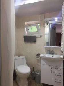 een badkamer met een toilet, een wastafel en een spiegel bij Jorjadze street 23 in Borjomi