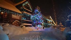 クルシュコフツェにあるChatki Qdłatkiの雪の中のクリスマスツリー