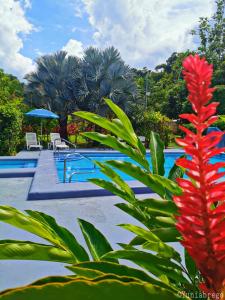 
a pool of water with a blue sky at Villas Allen Puerto Viejo in Puerto Viejo
