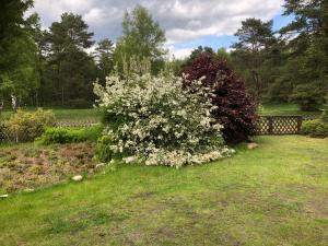 Zahrada ubytování Landhaus mitten in der Lüneburger Heide