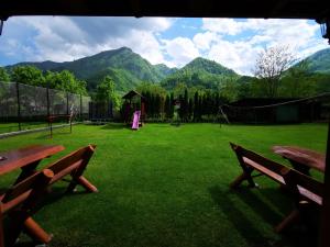 Billede fra billedgalleriet på Dendy i Brezoi