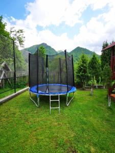 Billede fra billedgalleriet på Dendy i Brezoi